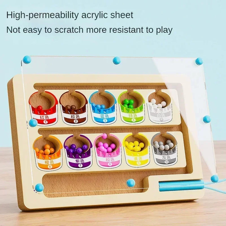 Montessori Magnetic Color Sorting Maze Toy